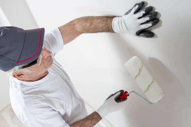 Best Mold Remediation for Healthcare Facilities  in Twin Falls, ID