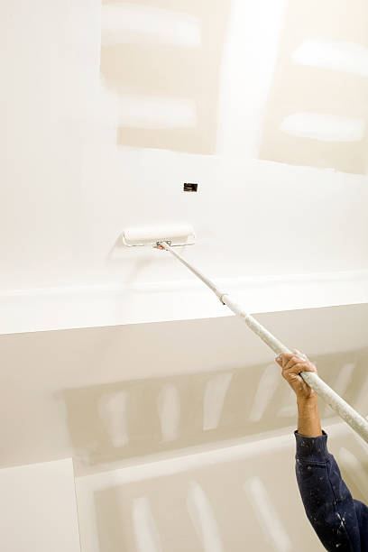 Trusted Twin Falls, ID Mold Removal Experts