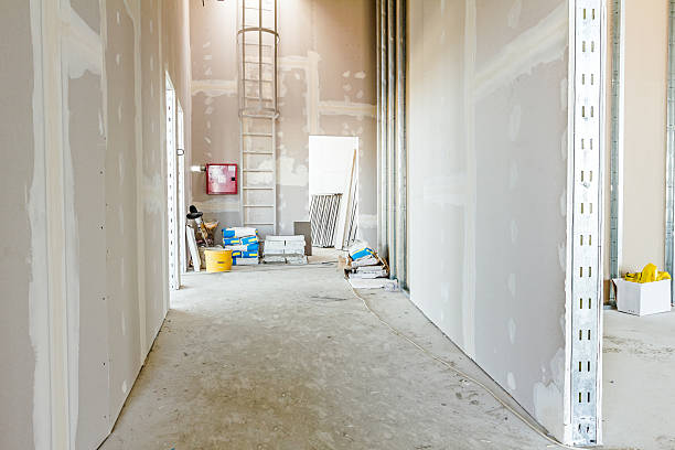 Best Airborne Mold Testing  in Twin Falls, ID